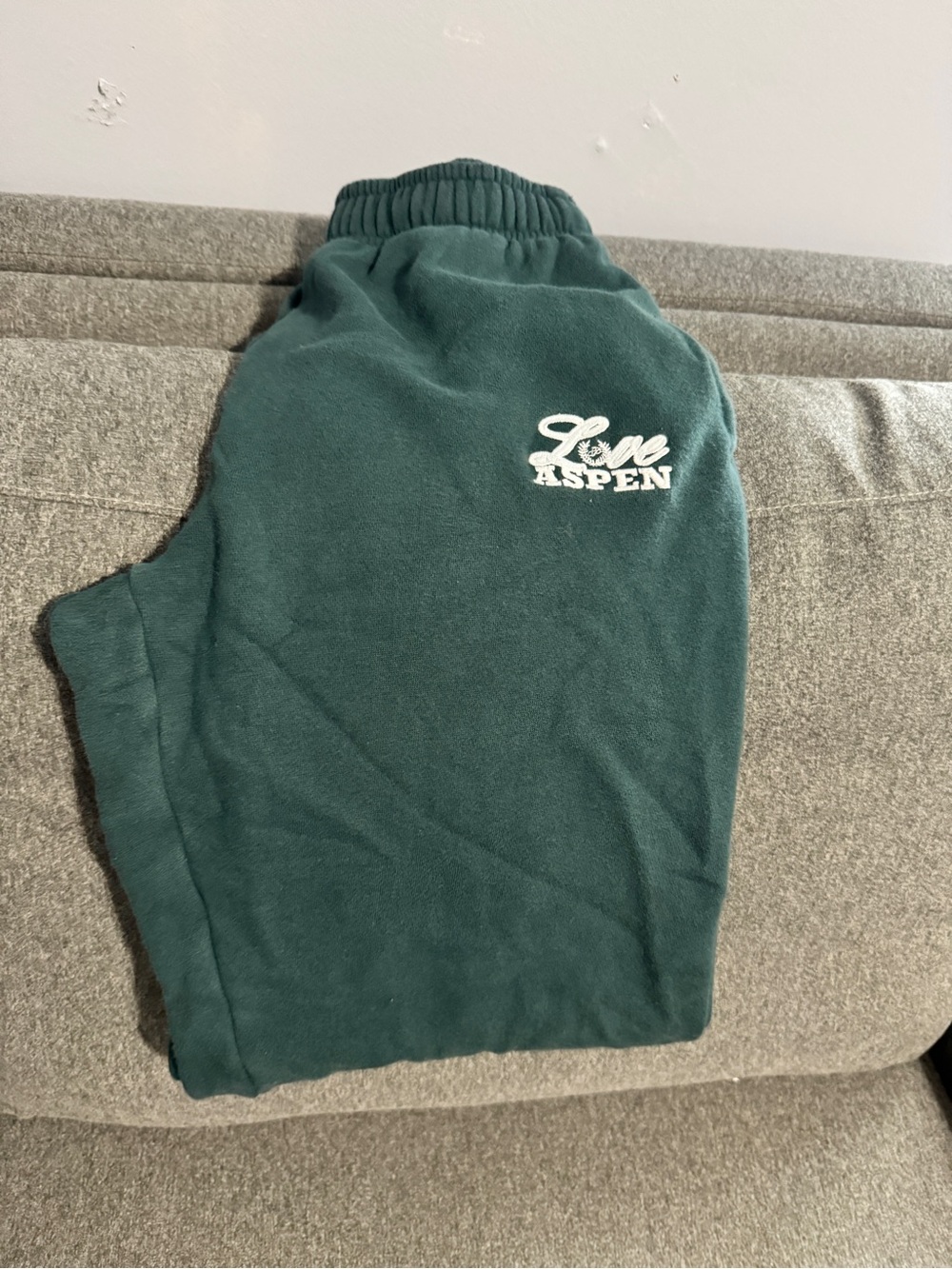 American Eagle Outfitters Teal Green Kids Fleece Sweatpants